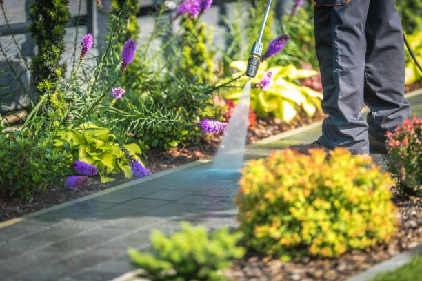Best Patio and Deck Pressure Washing  in Hackettstown, NJ