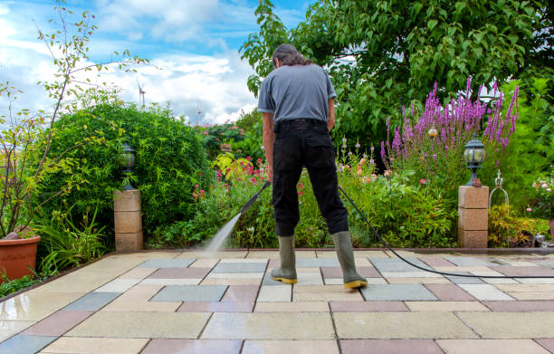 Best Animal Enclosure Cleaning  in Hackettstown, NJ